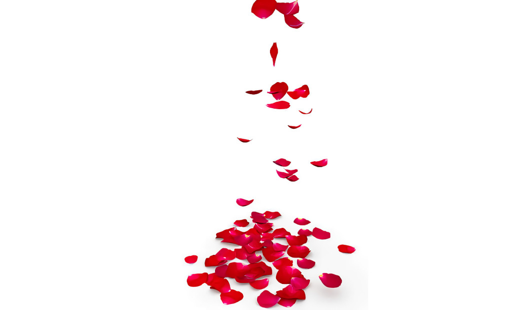 HONEYMOON TURN DOWN SERVICE